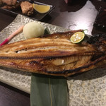 Robata Kappou Toubee - 