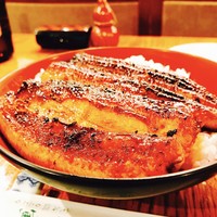 吉寅 - 鰻丼!!