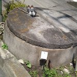 カレー風味 すずき - 