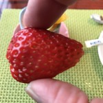頼みち - 苺が旨い