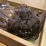 鮨松榮 - 松葉蟹
