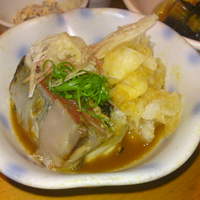 石塀小路豆ちゃ 京都 - 鮪の炙りきずし
