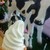 伊都楽 - 料理写真: