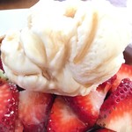 Yogur Story - このアイス無理矢理でしょ