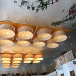 Yogur Story - 小鳥ぴよぴよ