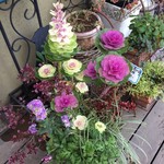 ソフィーズガーデン - 