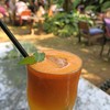 Fern Forest Cafe - ドリンク写真:キャロットジュース