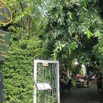 Fern Forest Cafe - カフェ入り口