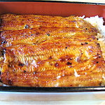 鰻元 - 今年の鰻！