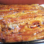 鰻元 - どあっぷ！