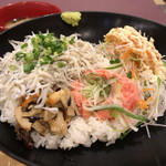 魚とと - しらすとネギトロの二色丼 850円。