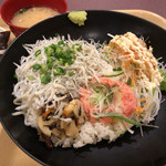 魚とと - しらすとネギトロの二色丼 850円。