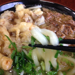 Tachibana Udon - 