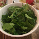 タイ国専門食堂 - 別盛りパクチー。手でつまんでパラパラ複数回。体に良さそー