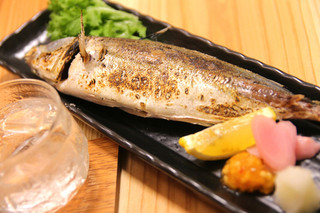 Kaisen Ryouri Izakaya Shou - 