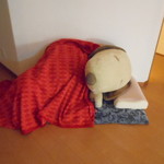 なごみ詩 - 夜には、スヌーピーもおやすみなさい☆　2017.2