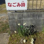 なごみ詩 - 駐車場の水仙　2017.2