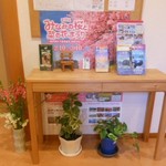 ”みなみの桜と菜の花まつり”の案内　2017.2