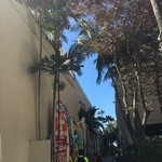 Pai's Deli - なみのりやでー