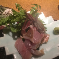 しゃにむに 心斎橋本店 - 