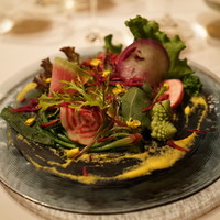 フィオッキ - 増田農園と鎌倉野菜のサラダ‘‘冬の菜園‘