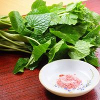 より料理の美味しさを引き立てる…季節替りの「塩」