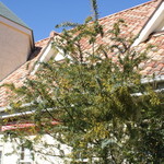 ウシマル - 外観