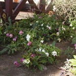 ウシマル - お店の外庭