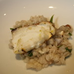 ウシマル - リゾット