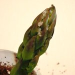 ラ・リューン - メニューＡ 2625円 の牛蒡パウダーのアスパラガス添え