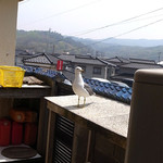 中華そば処 琴平荘 - 