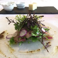 ラ ヴィオレッタ - サワラのカルパッチョ アンチョビと野生オレガノのソース