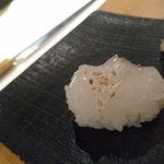 鮨 波やし - ヤリイカ