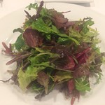 ビアンカーネ - ベビーリーフのサラダ