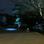 八芳園 - 庭園を望む