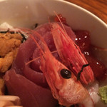 居酒屋 たぬき - 