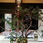 里山キュイジーヌ うす家 - 