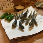 喜幸 - ピチピチの新鮮な春子はおいちぃ(o^^o)