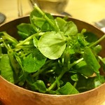 肉屋 雪月花 NAGOYA - 京都丹波産天然クレソンのサラダ