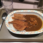 アルプス - チキンカレーとカツでチキンカツカレー
            結構ボリュームあるように思いました