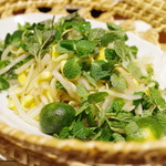 蓮香 - 拌薄荷豆芽