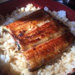 Unagi Kappou Izuei Umegawatei - 