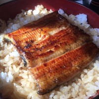 鰻割烹 伊豆栄 梅川亭 - 