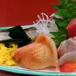 まるおか - 赤貝