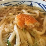 MarukameUDON - コロッケうどん