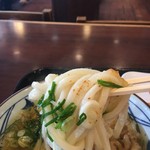 MarukameUDON - うどーーーん