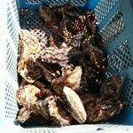 中山牡蠣養殖所 - 焼待ち