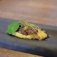 SHOKUDO YArn - ぽれん＋じ