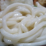 小泉うどん店 - うどん(アップ)