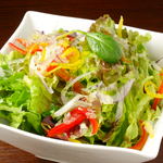 綠色蔬菜的新鮮沙拉